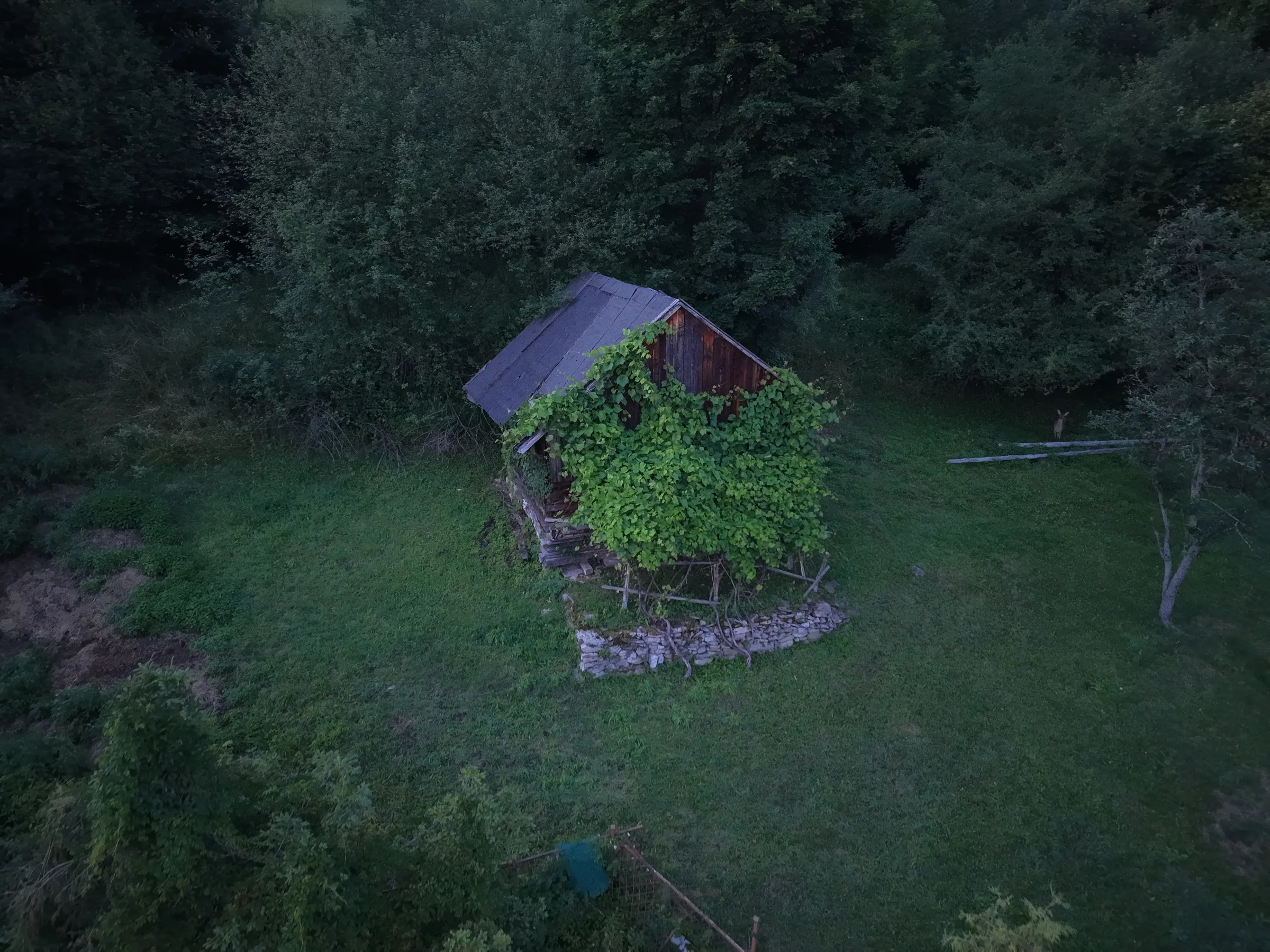 dji_fly_20260710_211854_0083_1783711230463_photo